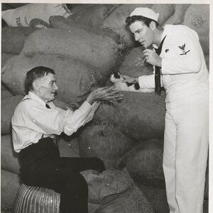 1943 WWII Movie The Navy Way Still Shot w/Robert Lowery, Cat & Older Man 8 x 10